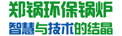 南宫NG28环保锅炉  智慧与手艺的结晶