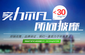 南宫NG28环保锅炉  智慧与手艺的结晶